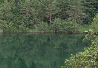 Tocht Te voet Keutschach am See - 4-Seenweg Keutschach - Photo