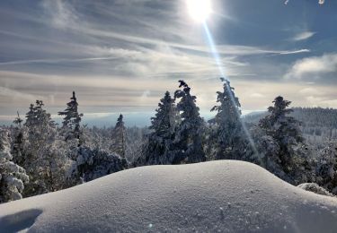 Trail Walking Oberhaslach - 2023-01-29 Marche Nideck Schneeberg Umwurf - Photo