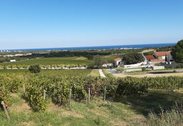 Excursión Senderismo Argelès-sur-Mer - valmy  le Racou - Photo