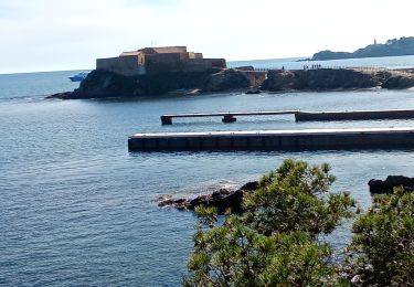 Randonnée Marche Hyères - sentier du littoral Giens-La tour fondue - Photo