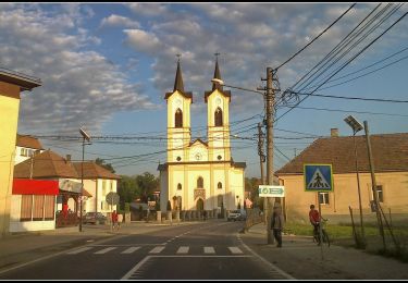 Tour Zu Fuß  - Via Mariae M12-07 - Photo