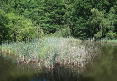 Tour Zu Fuß Tharandt - Grüner Punkt - Photo