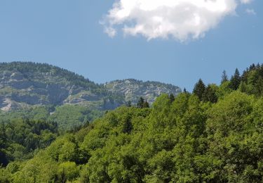 Trail Walking La Balme-de-Thuy - Passage de la Bourse-Ablon-La Rosière - Photo