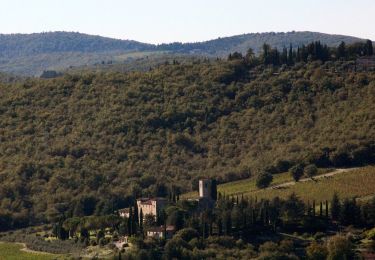 Excursión A pie Gaiole in Chianti - Trekking tra i castelli 4 - Photo