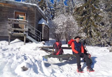 Trail Snowshoes Vassieux-en-Vercors - vassieux col - Photo