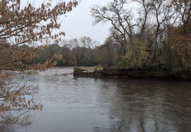 Trail Walking Civray-de-Touraine - Civray-de-Touraine - Zig Zag Chenonceaux Chisseaux - 26.2km 380m 6h10 (40mn) - 2024 11 16 - Photo