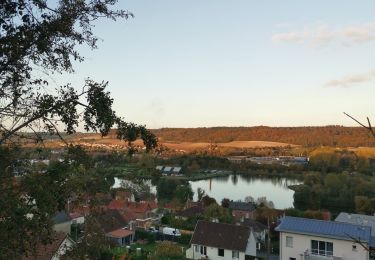 Randonnée Marche Arques-la-Bataille - arques étangs de la varenne - Photo