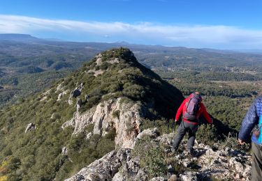 Trail Walking Barjols - Barjols - petit Bessillon - Photo
