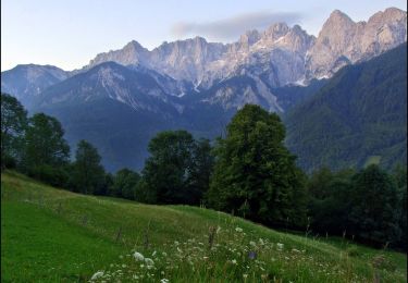 Randonnée A pied Kranjska Gora - Čičare to Srednji Vrh 19 - Photo