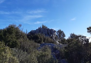 Trail Walking Signes - L'éléphant de pierre  aven du dragon - Photo