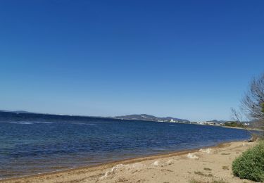 Randonnée Vélo de route Le Lavandou - lavandou miramar salins - Photo