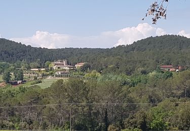 Percorso Marcia Flayosc - Château de BERNE Flayosc - Photo