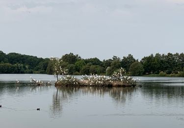 Tour Wandern Couëron - Nantes Lac de Beaulieu  - Photo