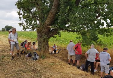 Tocht Stappen Villers-la-Ville - VLVille 0822 - Photo