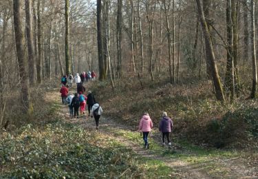 Trail Walking Vauchassis - Club 02 Mars 2023 - Photo