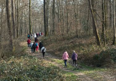 Tour Wandern Vauchassis - Club 02 Mars 2023 - Photo