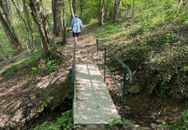 Randonnée Marche Theux - Tancremont pepinster - Photo