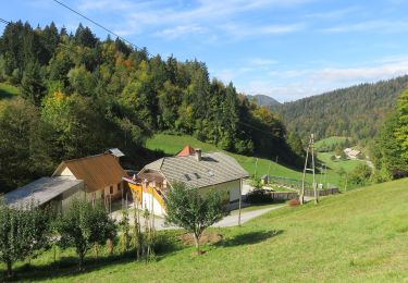 Tour Zu Fuß Kirchheim - 132 ~ Pot kurirjev in vezistov NOV Slovenije - Photo