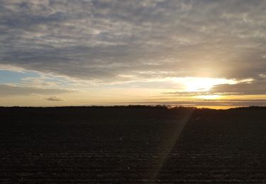 Trail Walking La Neuville-Chant-d'Oisel - 20181204-La Neuville - Photo