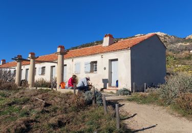 Trail Walking Ramatuelle - 20220116 Cap Taillat - Photo