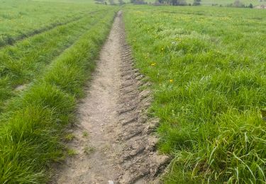 Tour Mountainbike Bastnach - boucle 1 - Photo