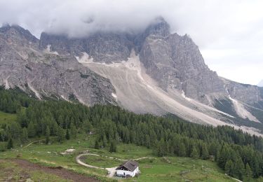 Excursión A pie Vodo di Cadore - IT-480 - Photo