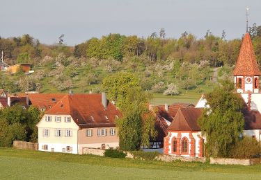 Tocht Te voet Bad Liebenzell - Schneckenweg - Photo