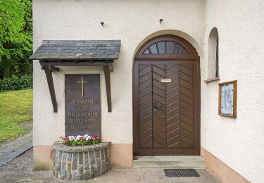 Tocht Te voet Bourscheid - Autopedestre Schlindermanderscheid - Photo