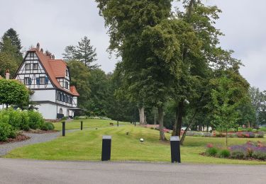 Tocht Stappen Wingen-sur-Moder - sentier des verriers 67 Wingen - Photo