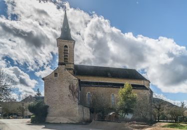 Tocht Te voet Valady - Des Vignes aux Moulins - Photo