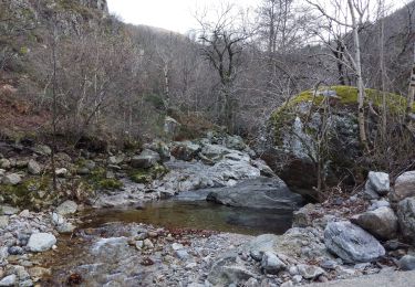 Trail Walking Barnas - Barnas - Photo