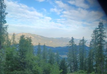 Trail Walking Seyne - SEYNES LES ALPES . COL DE BERNARDES . PIC DE BERNARDES . PIC DE SAVERNES . COL BAS O N  - Photo