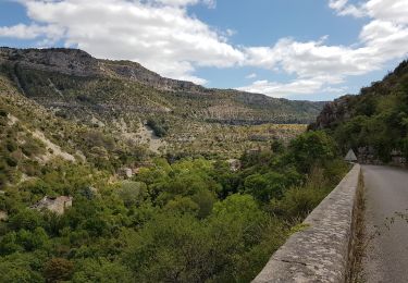 Trail Walking Blandas - Cirque de Navacelles par Blandas et le moulin du Foux  - Photo