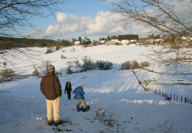 Randonnée A pied Manhay - Fagne d'Odeigne - Photo