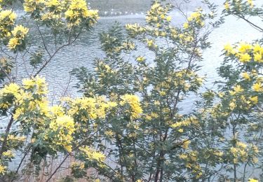 Tour Wandern Bormes-les-Mimosas - Bormes-les-Mimosas le lac du Trapan, le château de Brégançon, le petit barrage - Photo