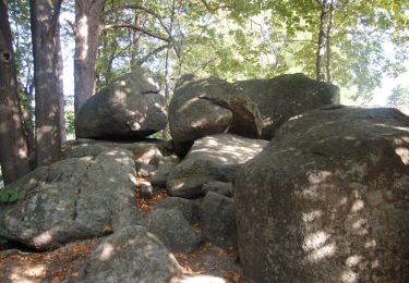 Tour Zu Fuß Przesieka - Przesieka - Sosnówka Dolna - Photo