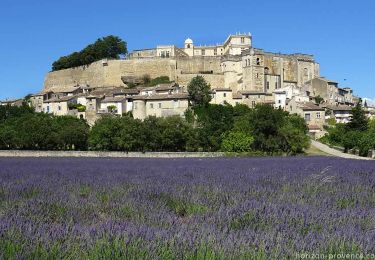 Tour Wandern Grignan - 2023-02-15_20h34m42_Grignan Les montines 8km.gpx (1).xml - Photo