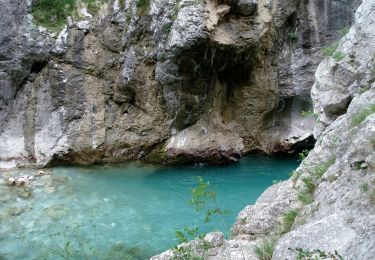 Trail Walking La Palud-sur-Verdon - Verdon Sentier Blanc Martel - Photo