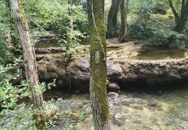 Randonnée Marche Méounes-lès-Montrieux - Le Gapeau - Photo