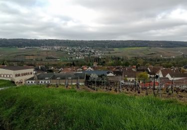 Trail Walking Reuil - Reuil du 16/04/2023 - Photo