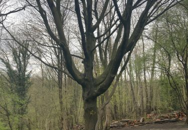 Tocht Stappen Ukkel - Kauwenberg - Photo