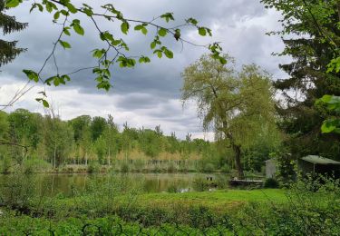 Percorso Marcia Saint-Gobain - parcours Barisis-aux-bois - Photo