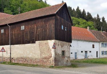 Percorso A piedi Wolfstein - Königsbachweg - Photo