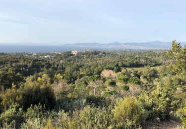 Tour Wandern Saint-Raphaël - Carrière des petits Caous (Age d’or) - Photo