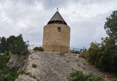 Trail Walking Fontvieille - Autour de Fontvielle - Photo