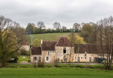 Trail Walking Arcisses - Coudreceau - Nogent-le-Rotrou 11 km - Photo