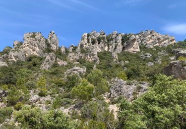 Trail Walking Mourèze - Mourez - Photo