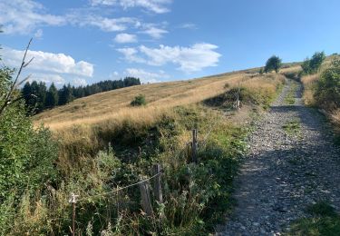 Tocht Stappen Taninges - Balade autour de Beauregard - Photo