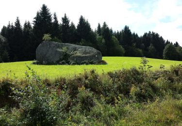 Tocht Te voet Altmelon - Naturwanderweg - Photo