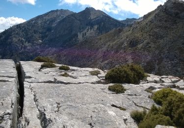 Percorso A piedi Yunquera - CAUCÓN-PEÑÓN DE LOS ENAMORADOS - Photo